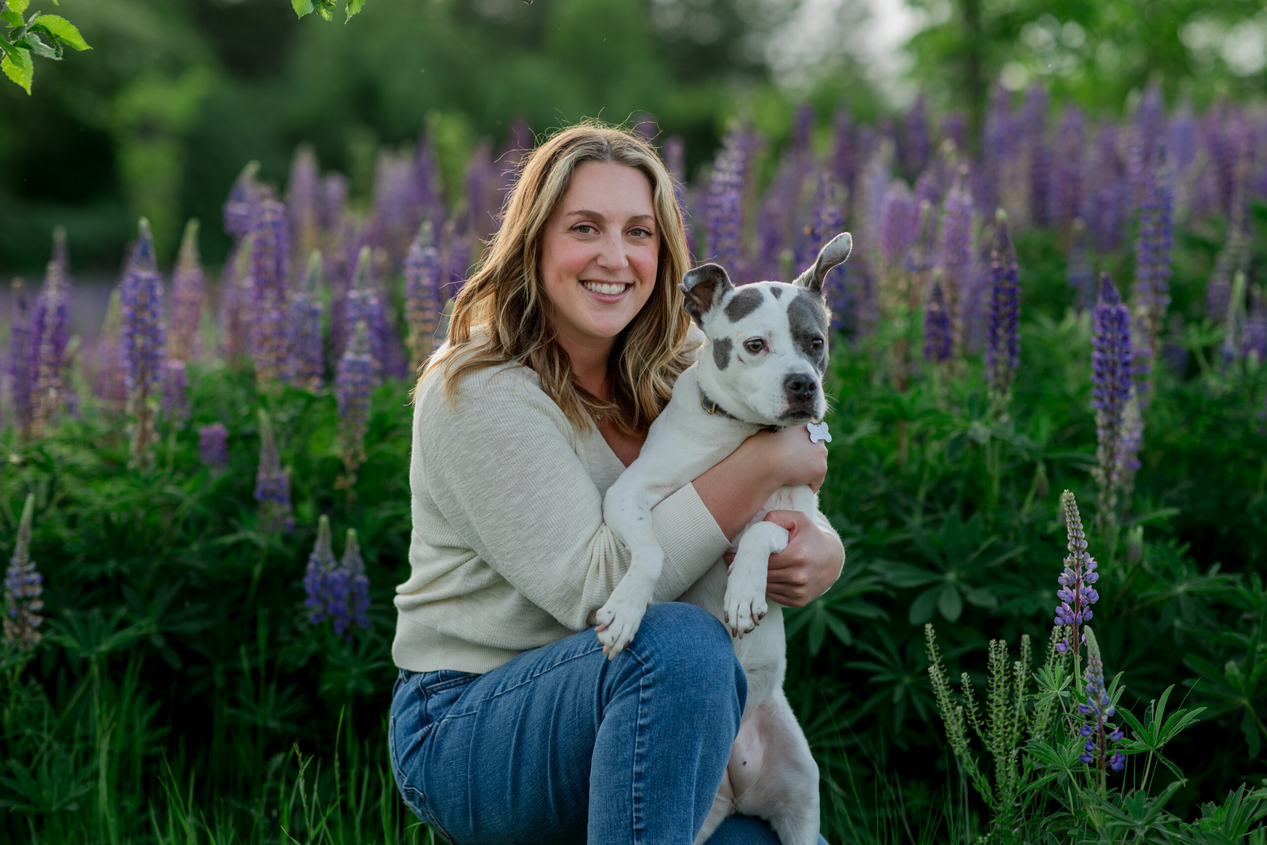 Pet portrait session in the lupines in Puyallup, WA.